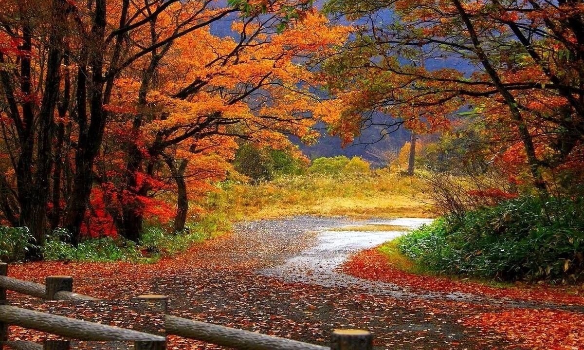 ایران گردی در پاییز